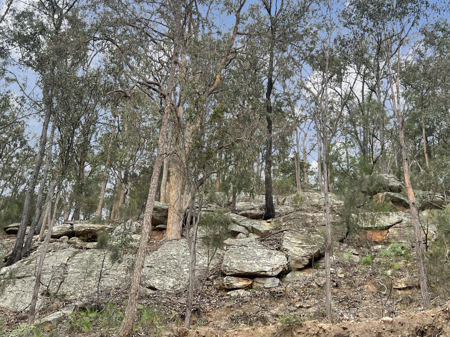 Additional image 17 of Parcel A Hitcham Park Dairy Arm Road, Laguna NSW 2325