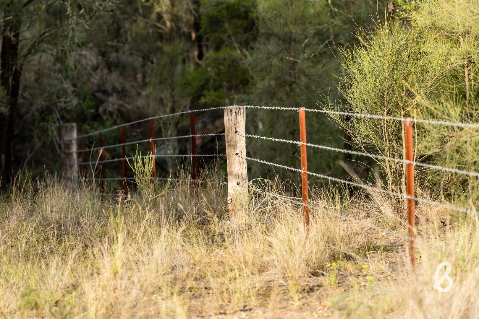 Additional image 17 of 2092 Putty Road, Bulga NSW 2330