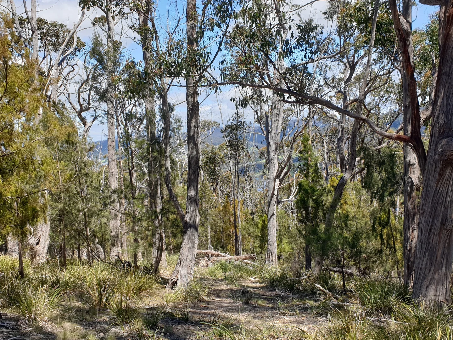 Additional image 6 of 9032 Channel Highway, Huonville TAS 7109