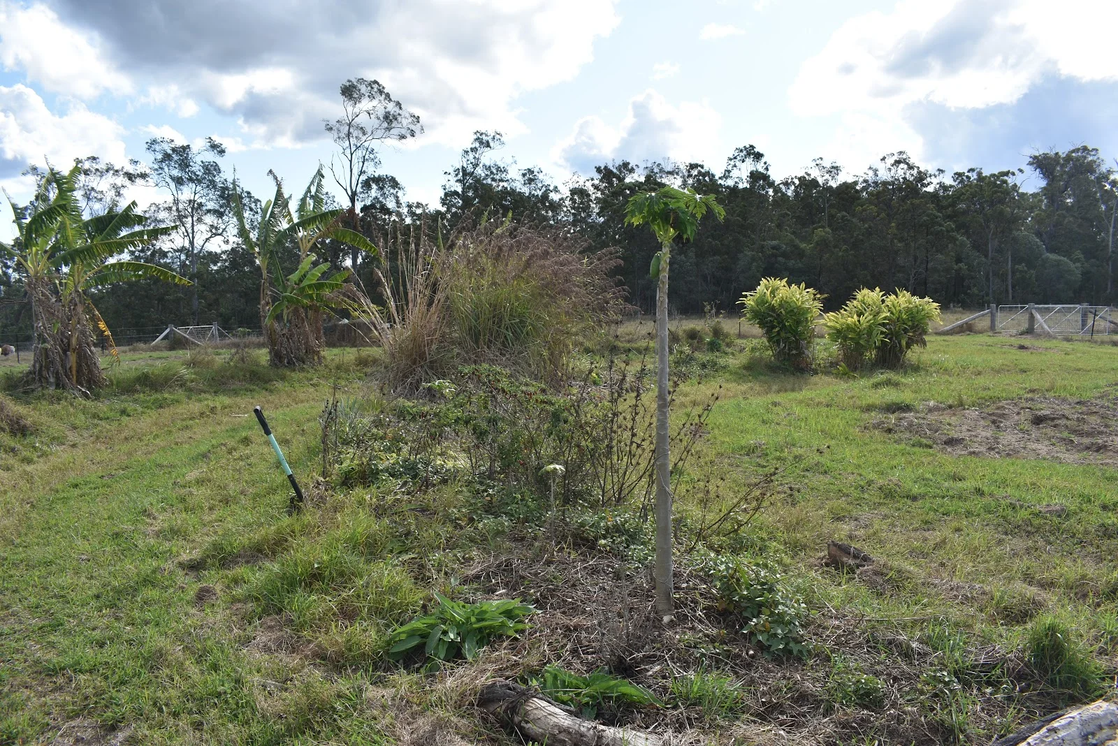 Additional image 30 of 539 Old Gayndah Road, Dunmora QLD 4650