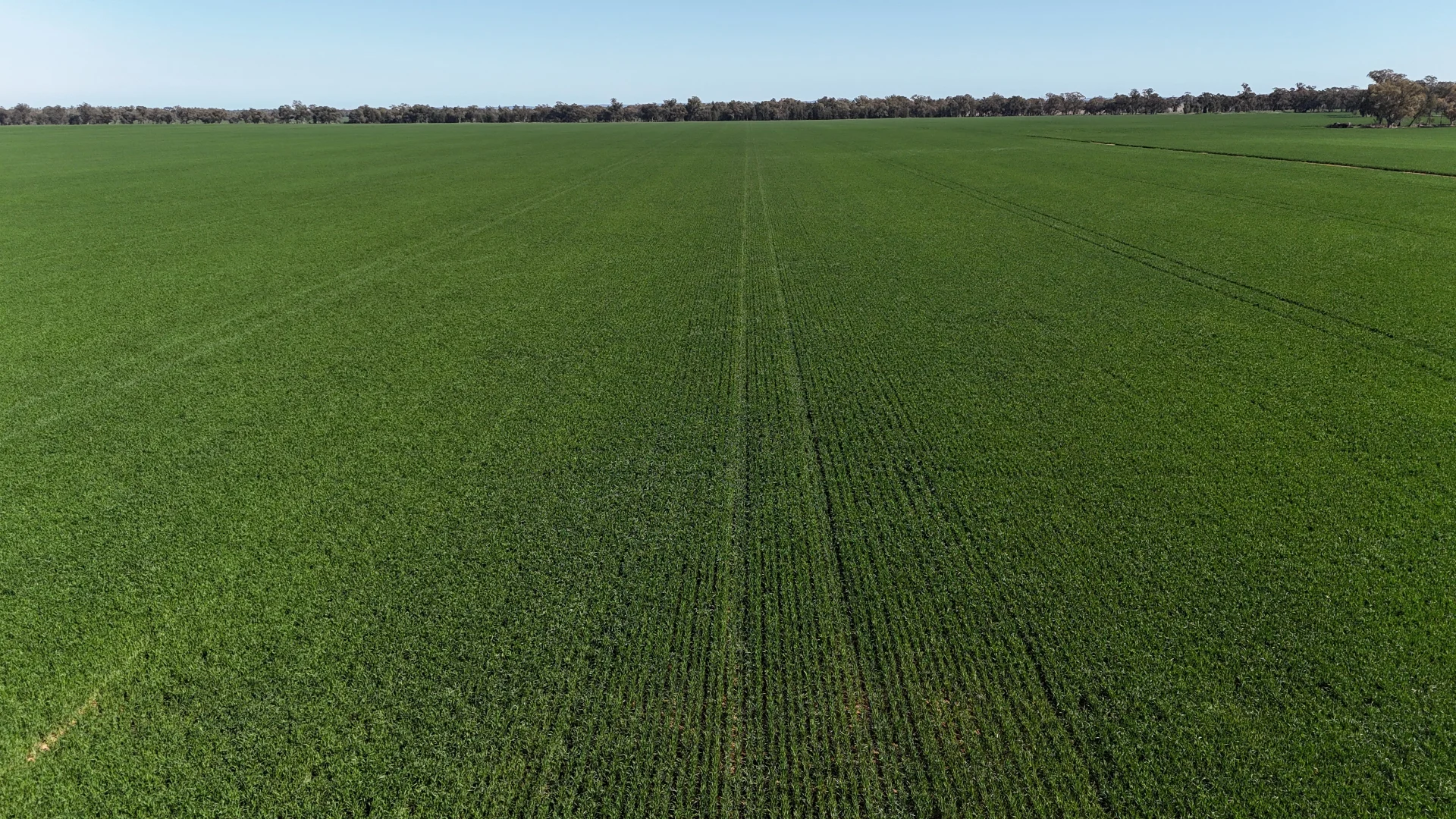 Additional image 19 of 349 A Warregal Road, Parkes NSW 2870