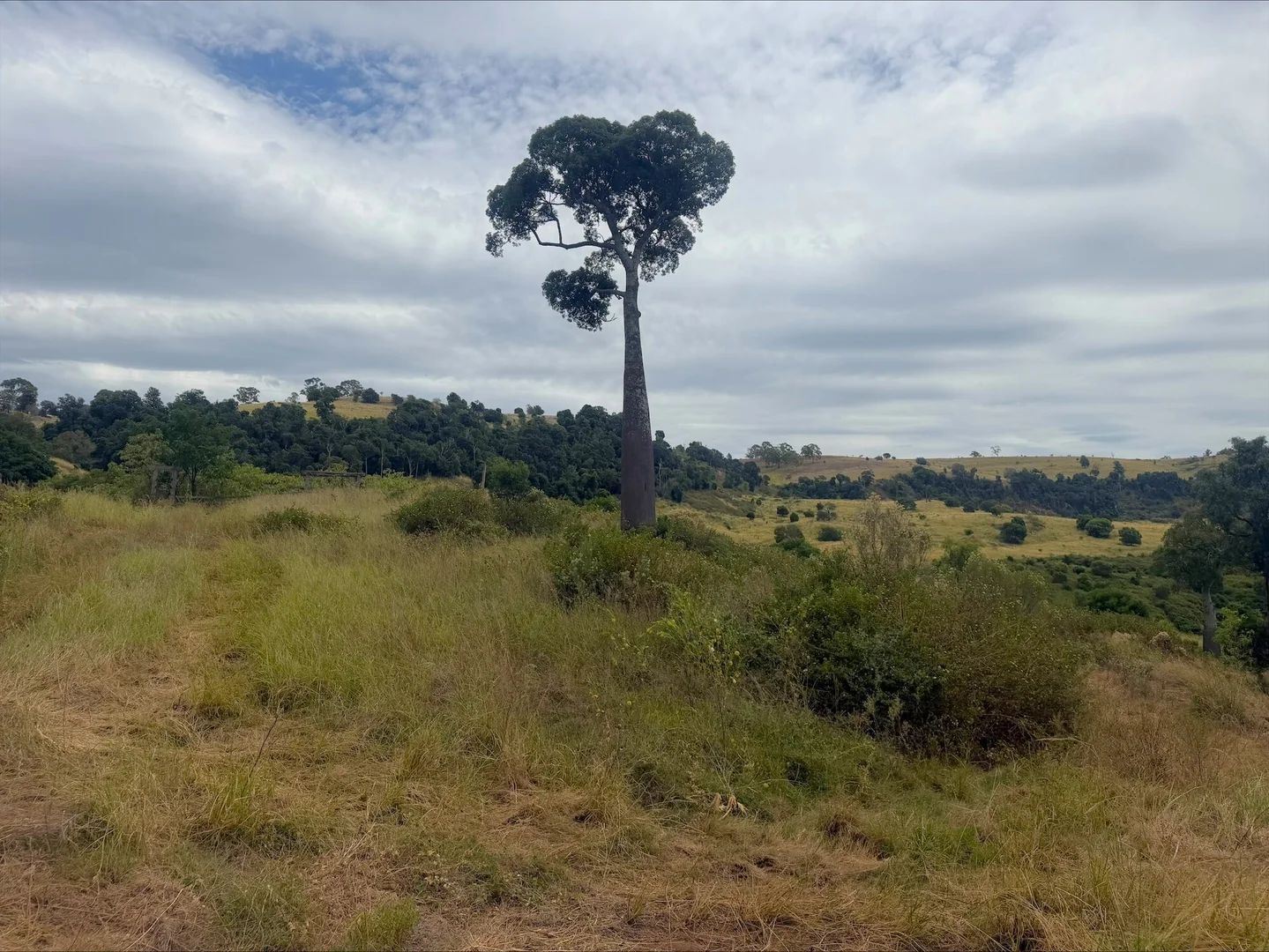 Additional image 8 of Lot 62 Berlin Rd, Mount Berryman QLD 4341