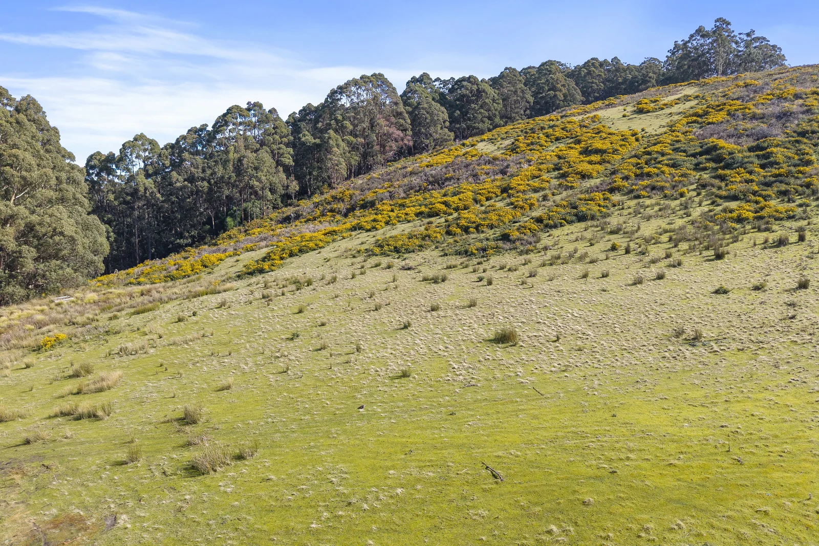 Additional image 2 of Lot 1 Longmans Road, Snug TAS 7054