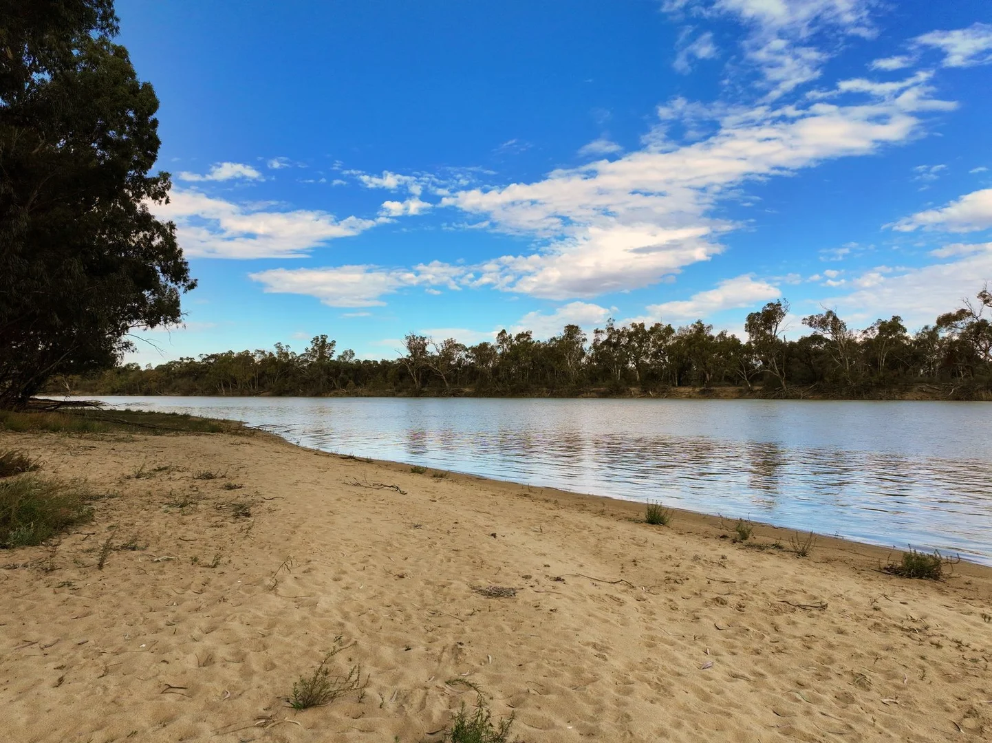 Additional image 6 of Box's Island Via Renmark Road, Wentworth NSW 2648