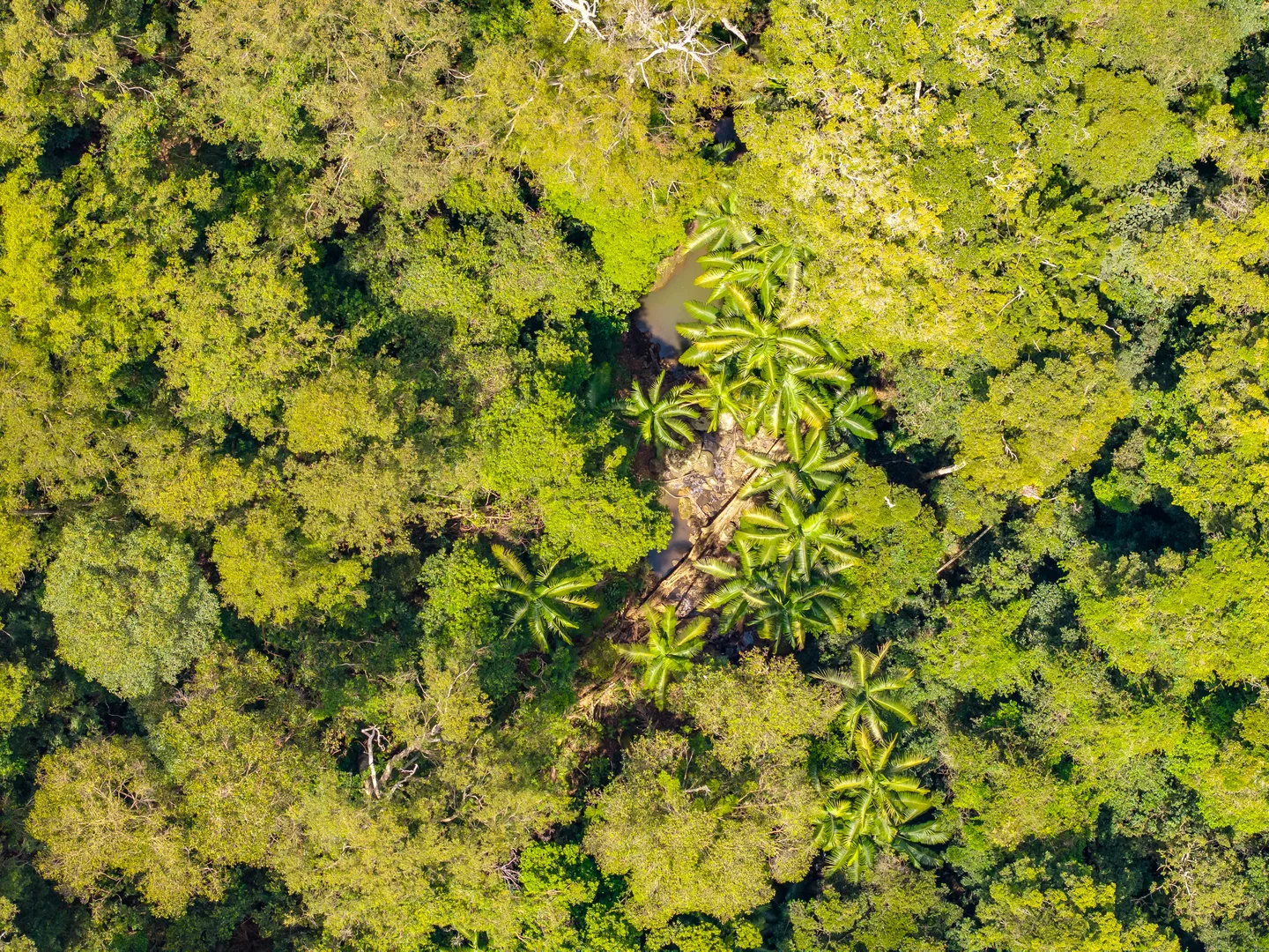 Additional image 27 of 195-275 Kaiser Road, Tamborine Mountain QLD 4272