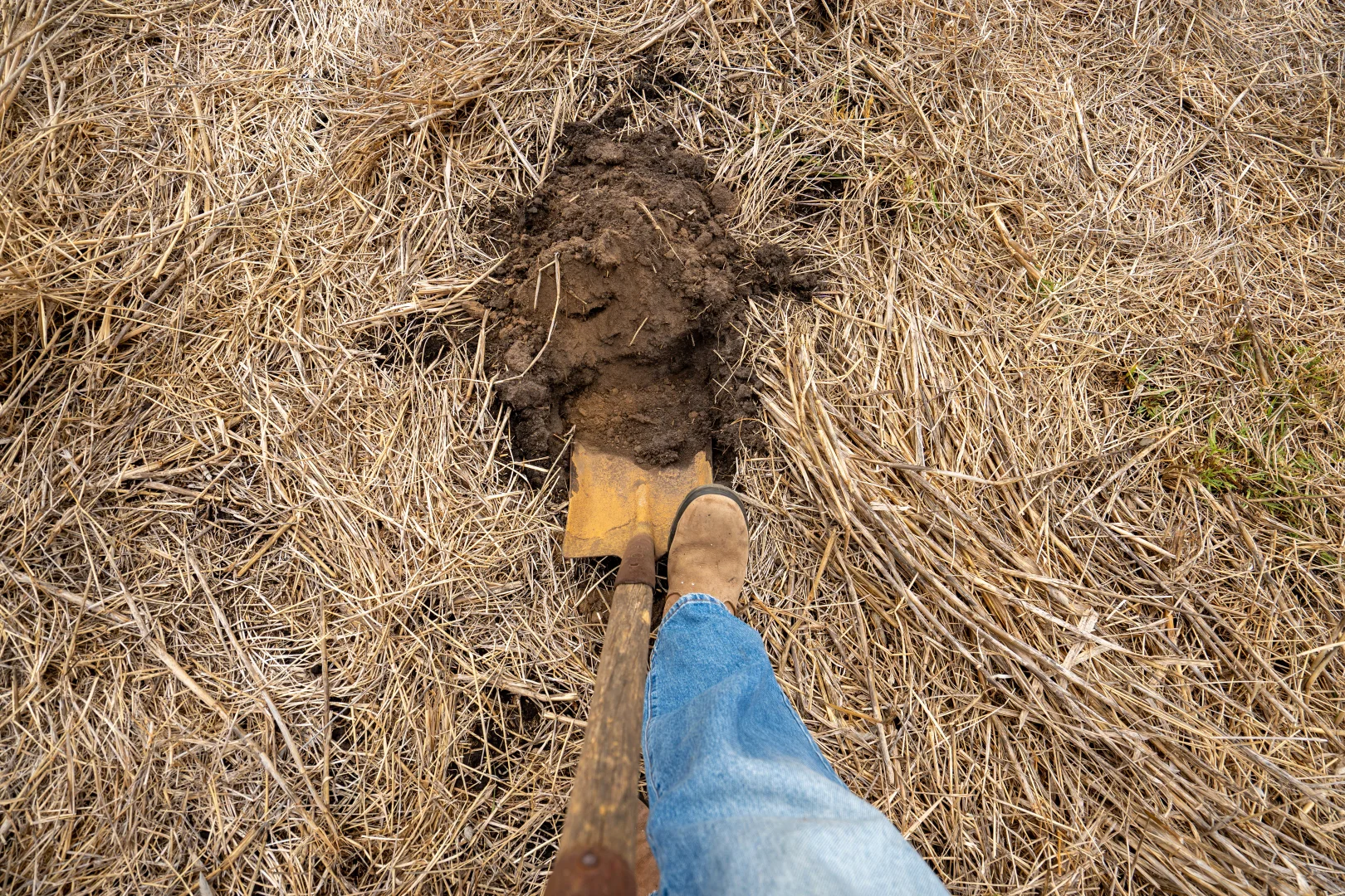 Additional image 4 of 582 Bluff Creek Road, Green Range WA 6328