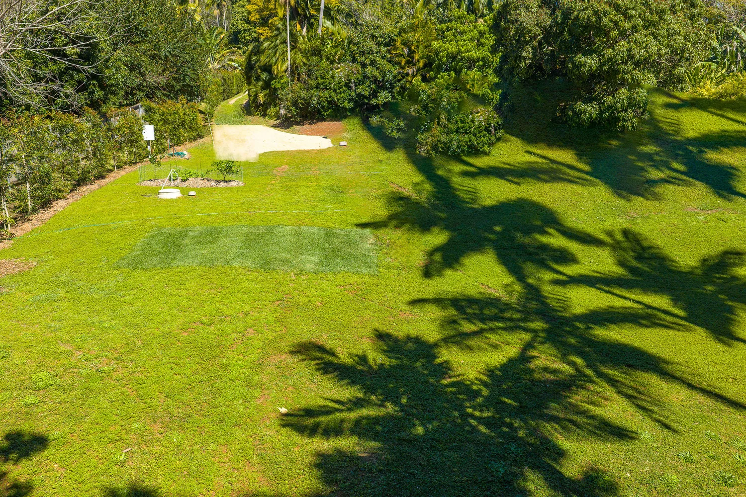 Additional image 19 of 20 Azalea Street, Mullumbimby NSW 2482