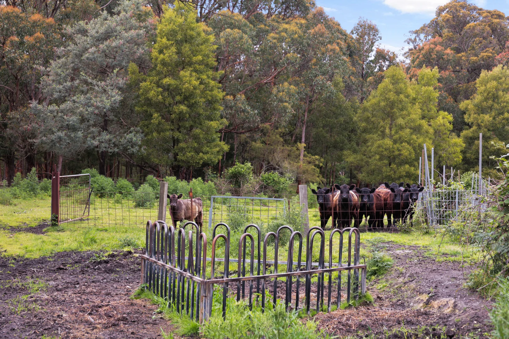 Additional image 13 of 135 Boldiston Road, Woodend VIC 3442