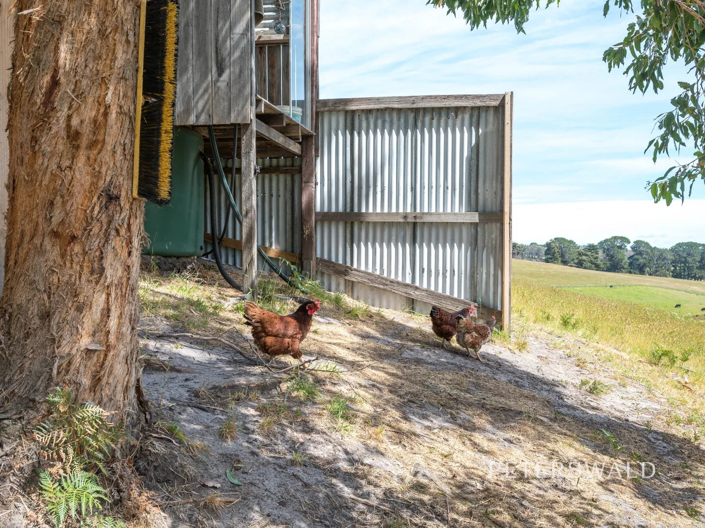 Additional image 37 of 109 Jones Road, Premaydena TAS 7185