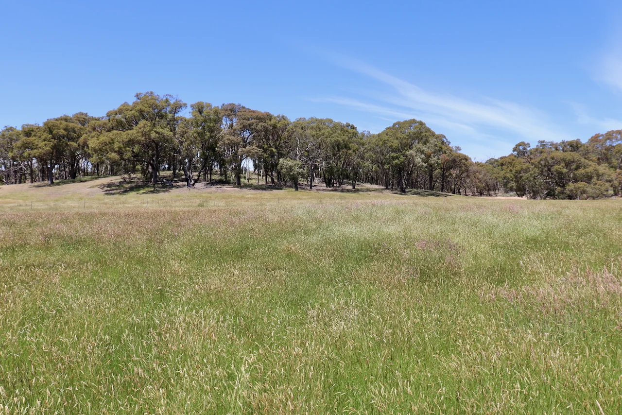 Additional image 2 of 13, 13A, 13B, 31A &, BRIDGE ROAD, Grenville VIC 3352