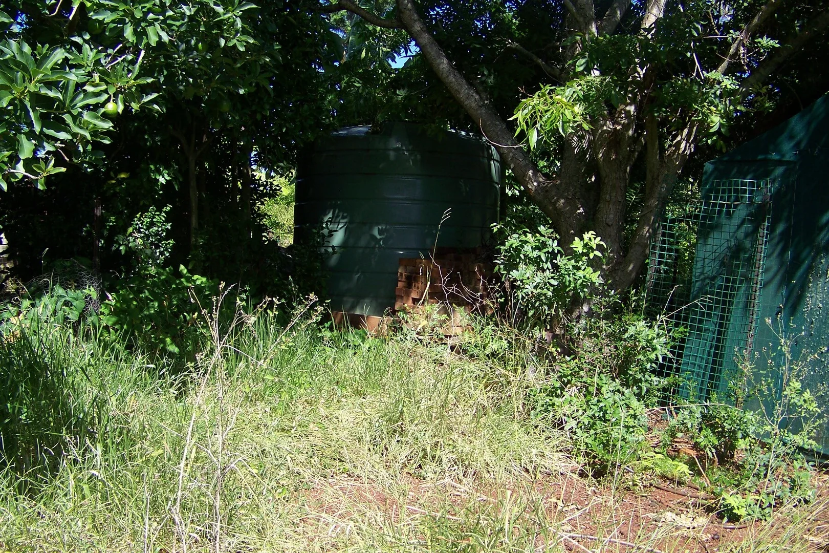 Additional image 11 of 29 Pine Avenue, Lamb Island QLD 4184