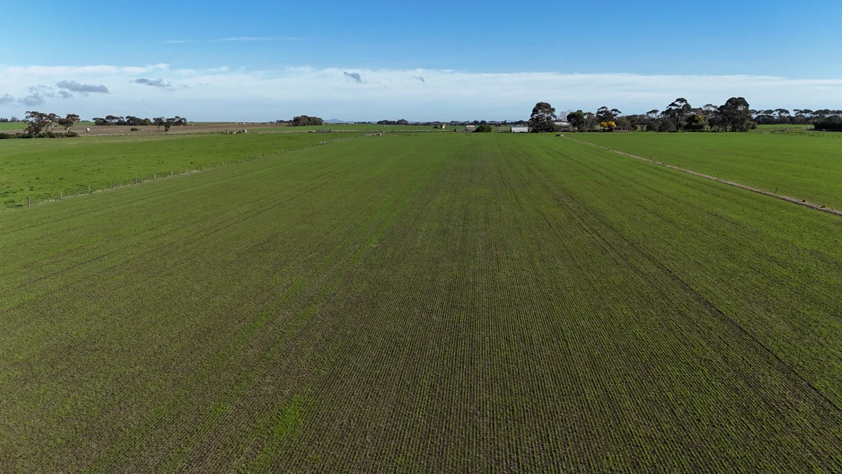 Additional image 2 of 321 Larpent Road, Cororooke VIC 3254