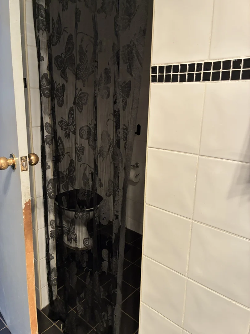 Additional image 13 of 4 Norman Street, Binnaway NSW 2395