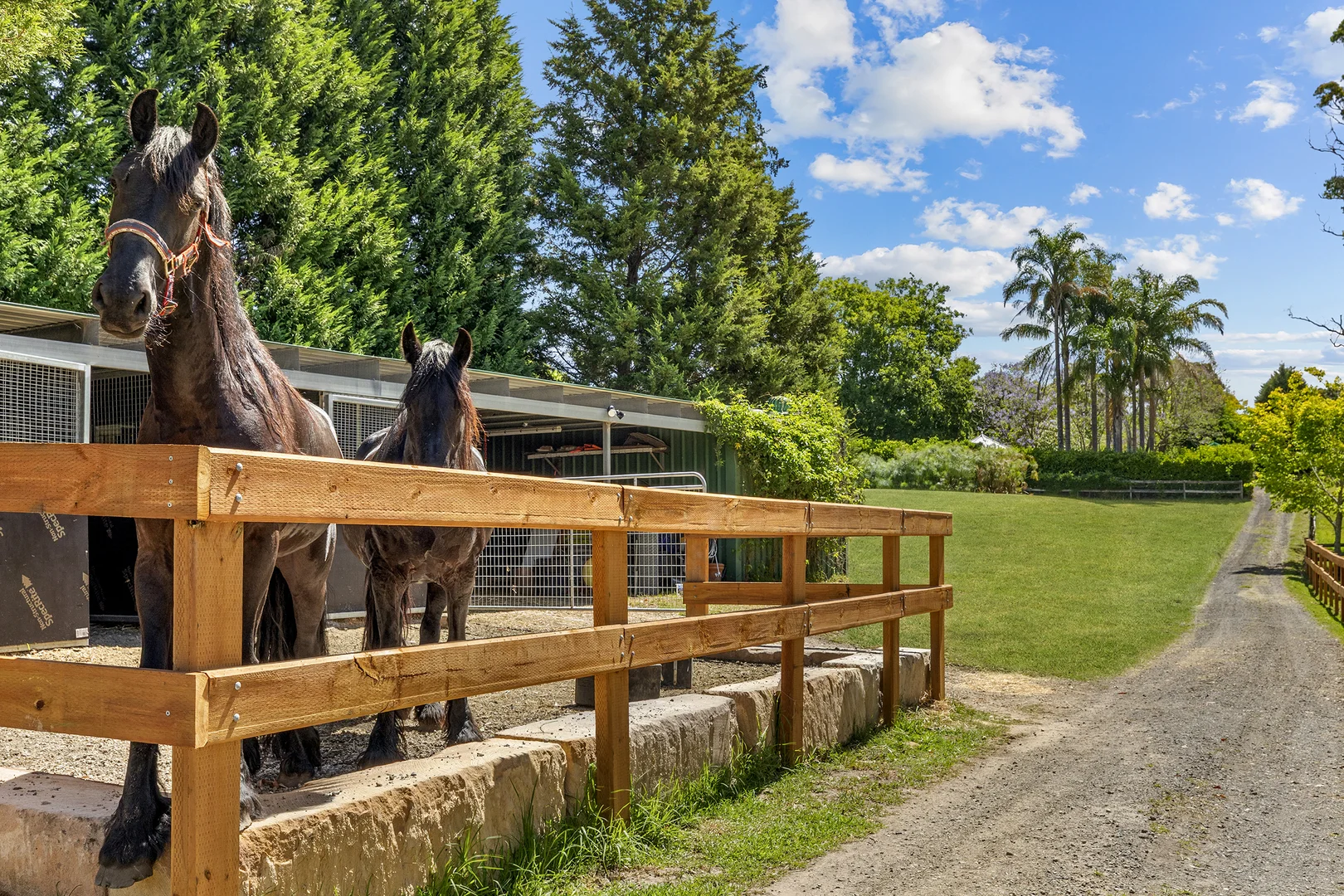 Additional image 31 of 5 McLeod Road, Middle Dural NSW 2158