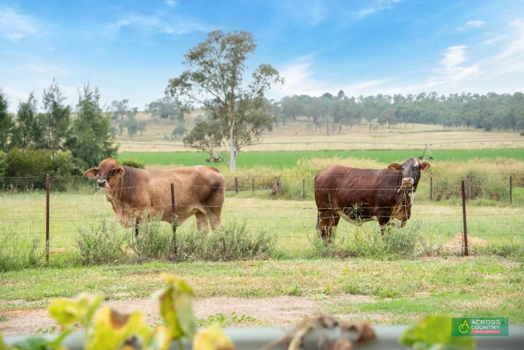 Additional image 41 of 314 Farrer's Road, Wondai QLD 4606