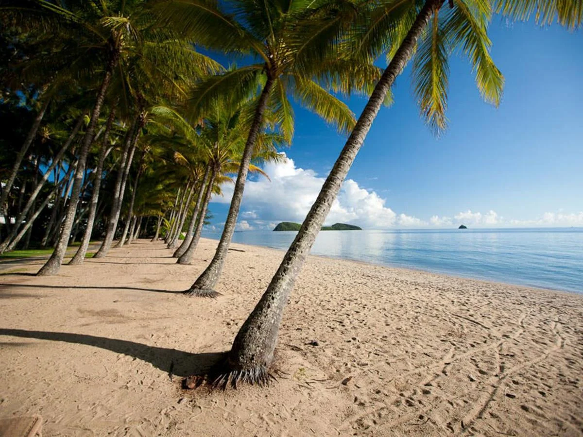 Additional image 37 of 134-135/5 Triton Street, Palm Cove QLD 4879