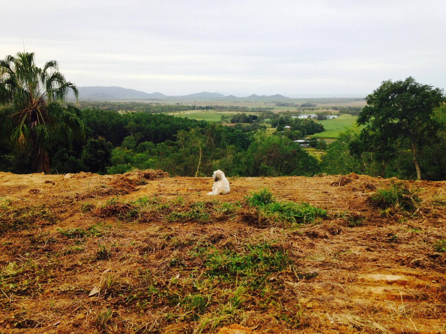 Additional image 4 of 1243 Yakapari-Seaforth Road, Mount Jukes QLD 4740