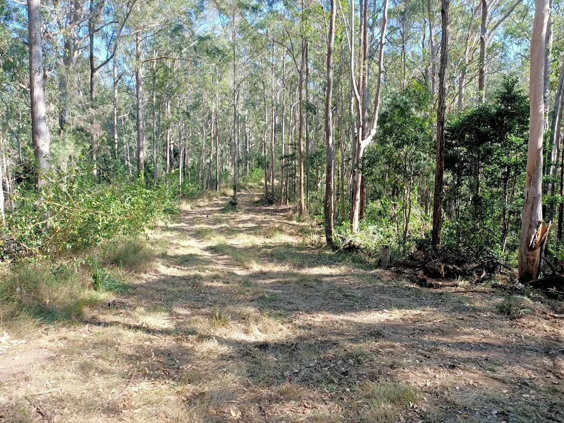 Additional image 17 of 702 Comboyne Road, Byabarra NSW 2446