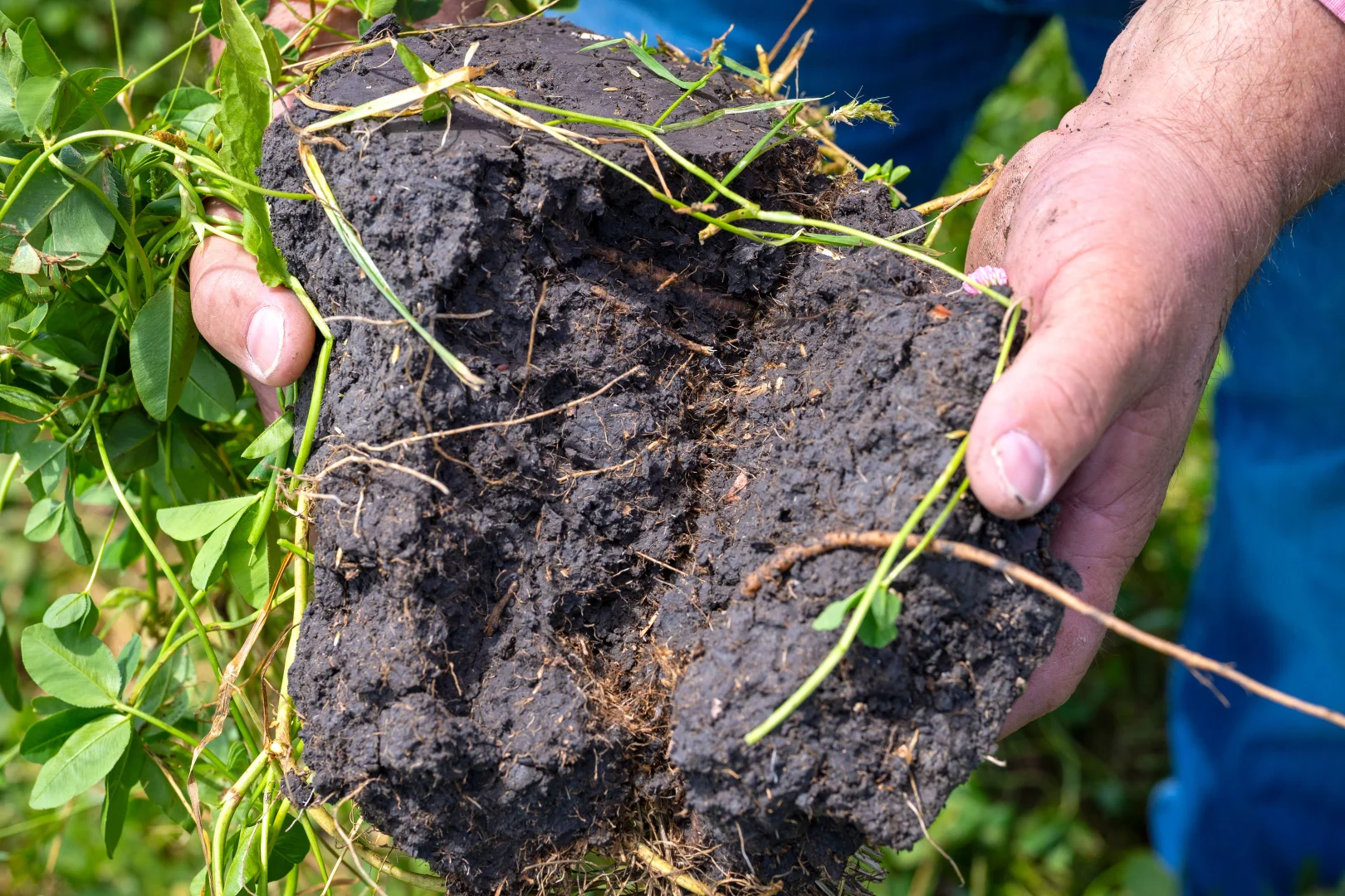 Additional image 7 of Lot 55 Princes Highway, Millicent SA 5280