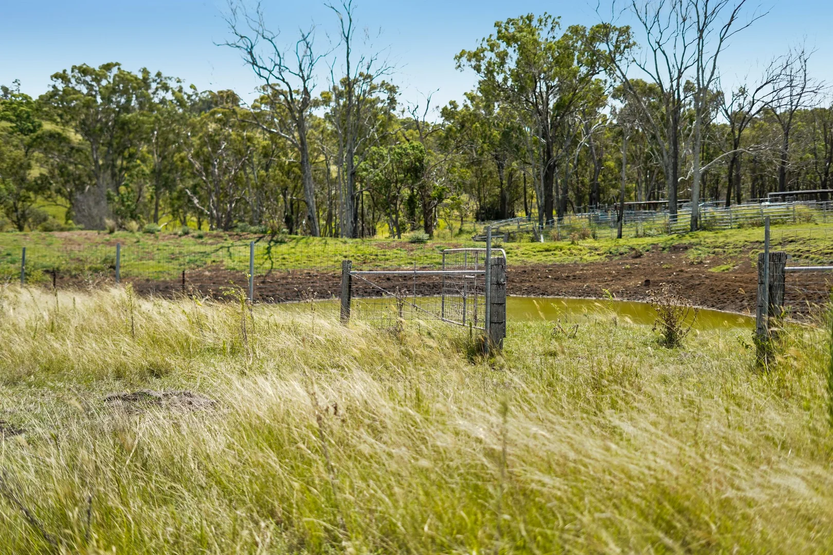 Additional image 32 of "PARADISE" 256 Paradise Road, Mount Sylvia QLD 4343