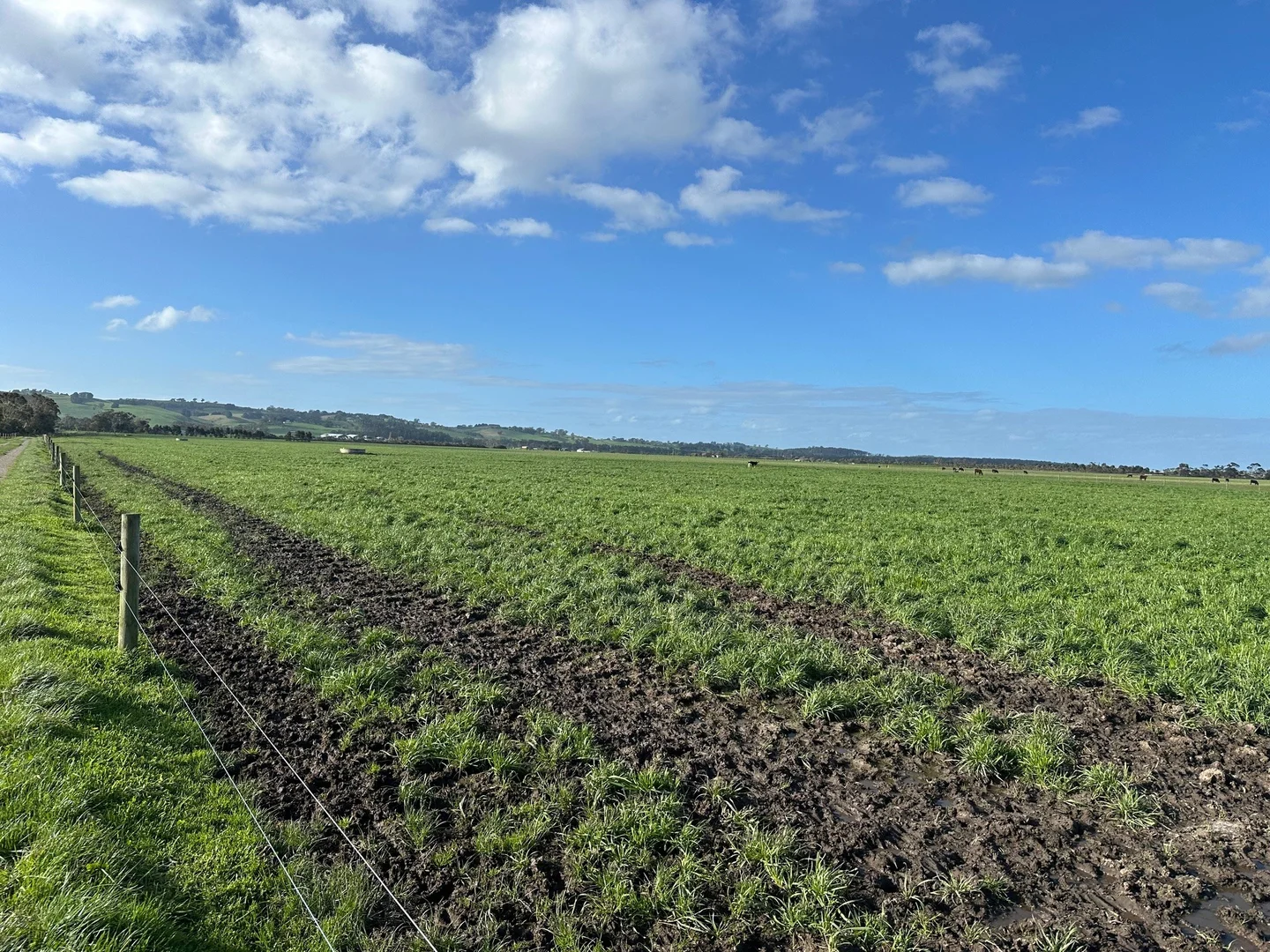 Additional image 43 of 765 Korumburra South Road, Korumburra South VIC 3950