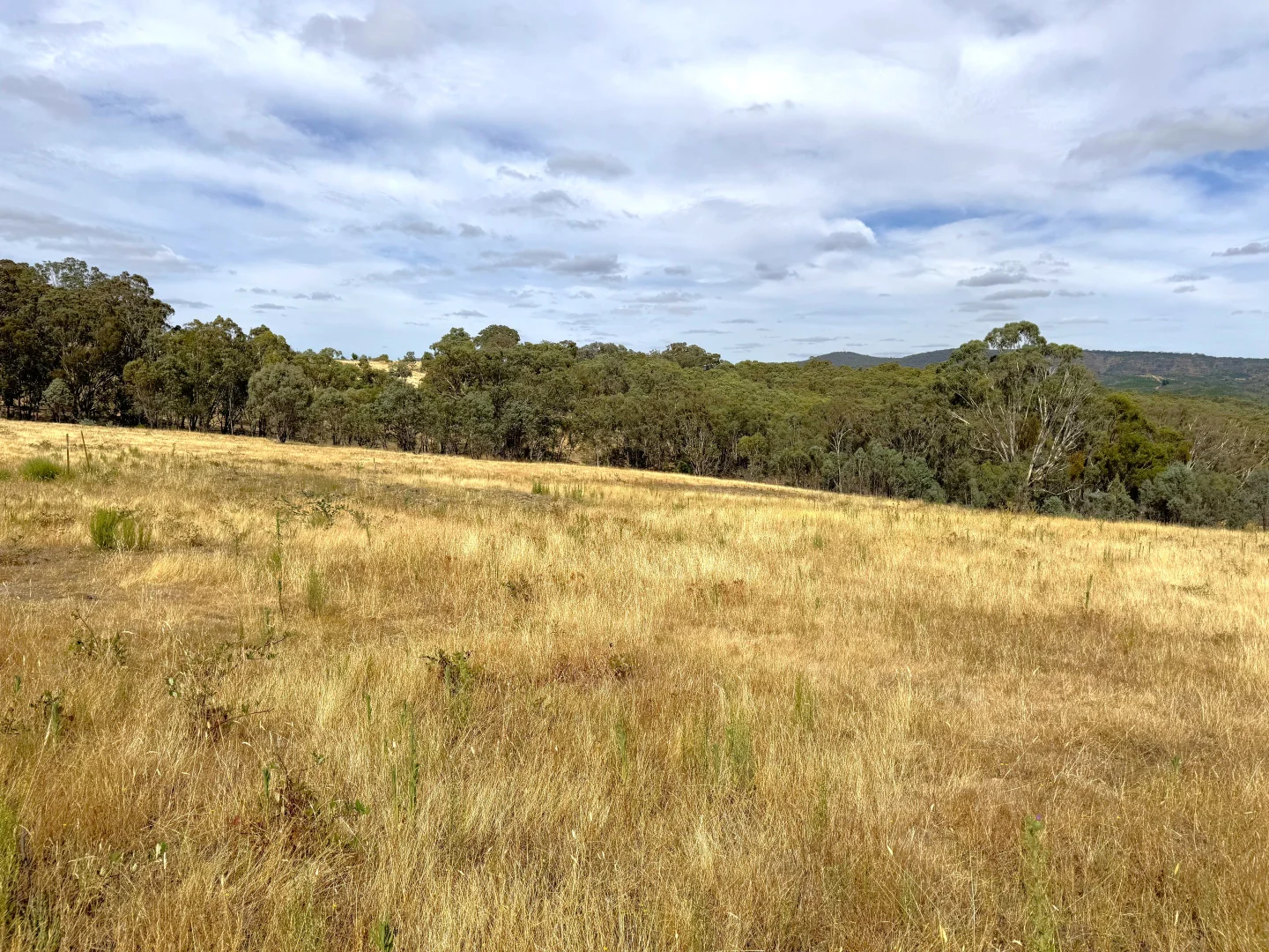 Additional image 4 of 848 Kentucky Road, Neville NSW 2799