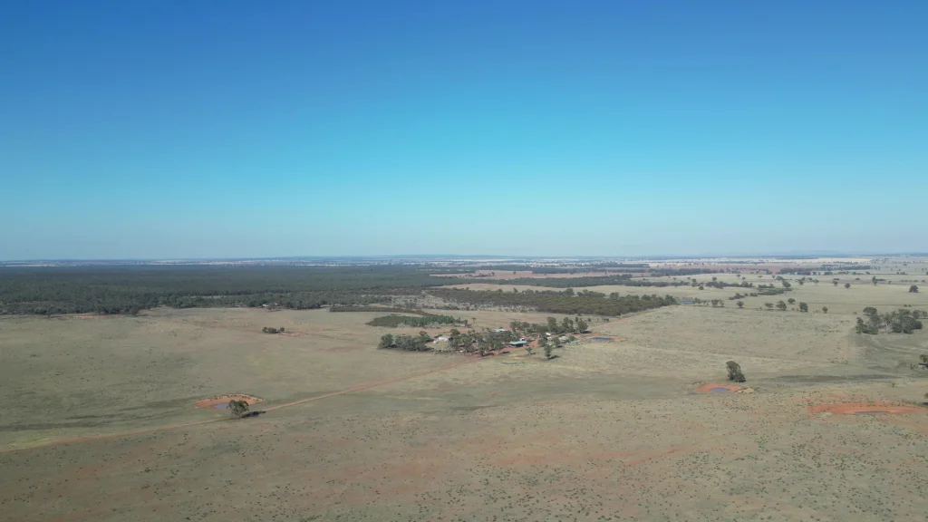 Additional image 13 of 603 Charcoal Tank Road, West Wyalong NSW 2671