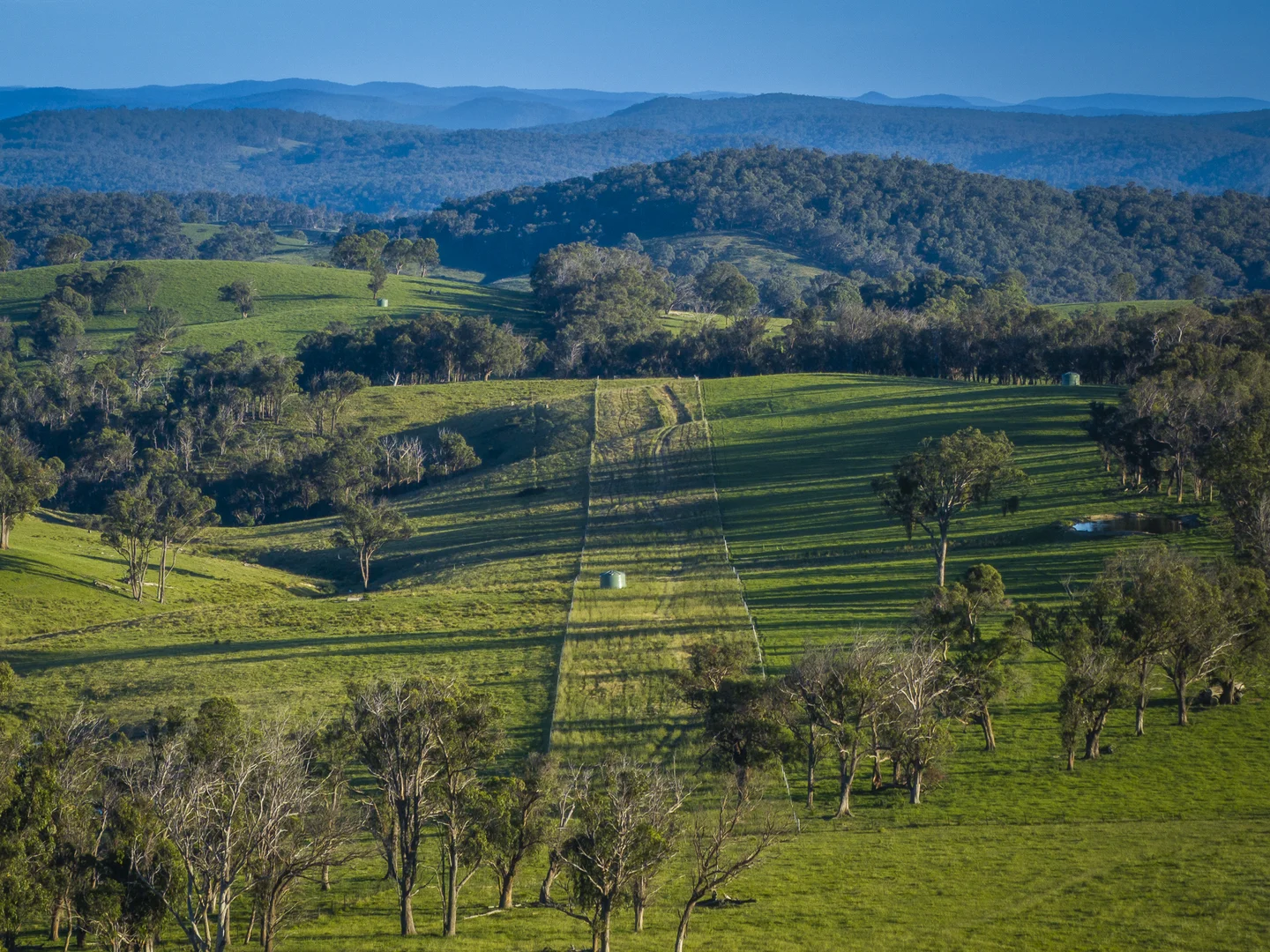 Additional image 7 of 338 Fishington Road, Wongwibinda NSW 2350