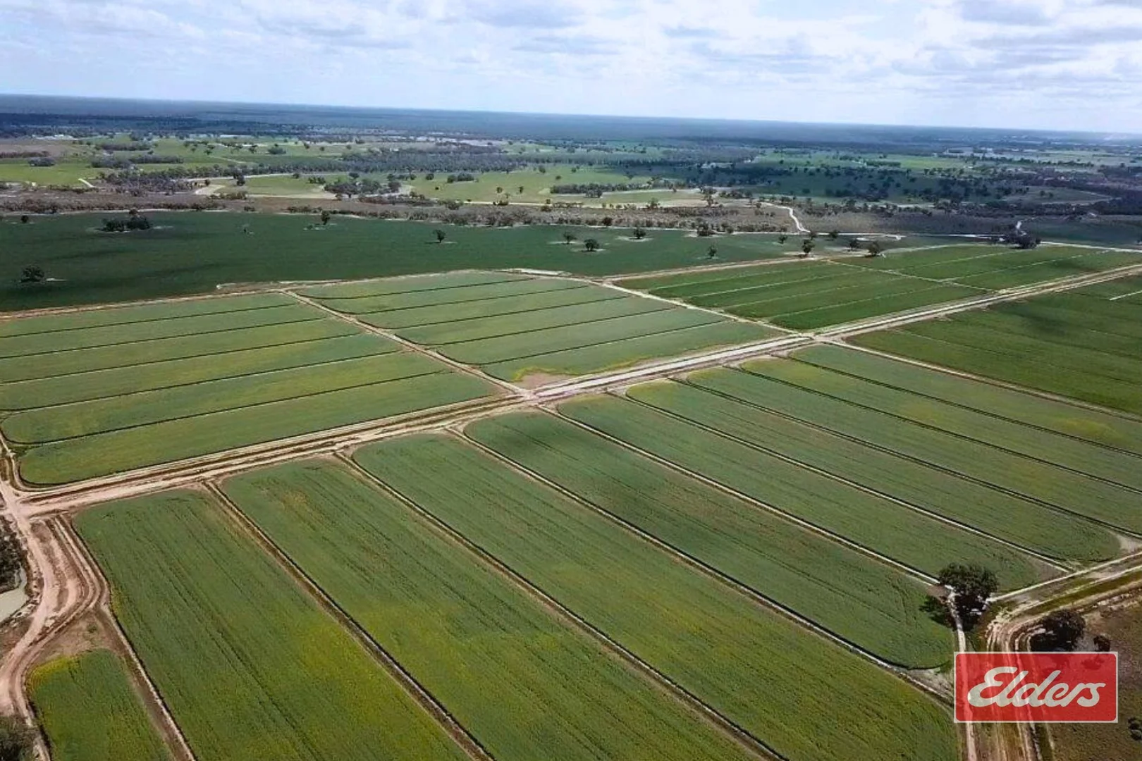 Additional image 6 of Perricoota, Bunnaloo NSW 2731