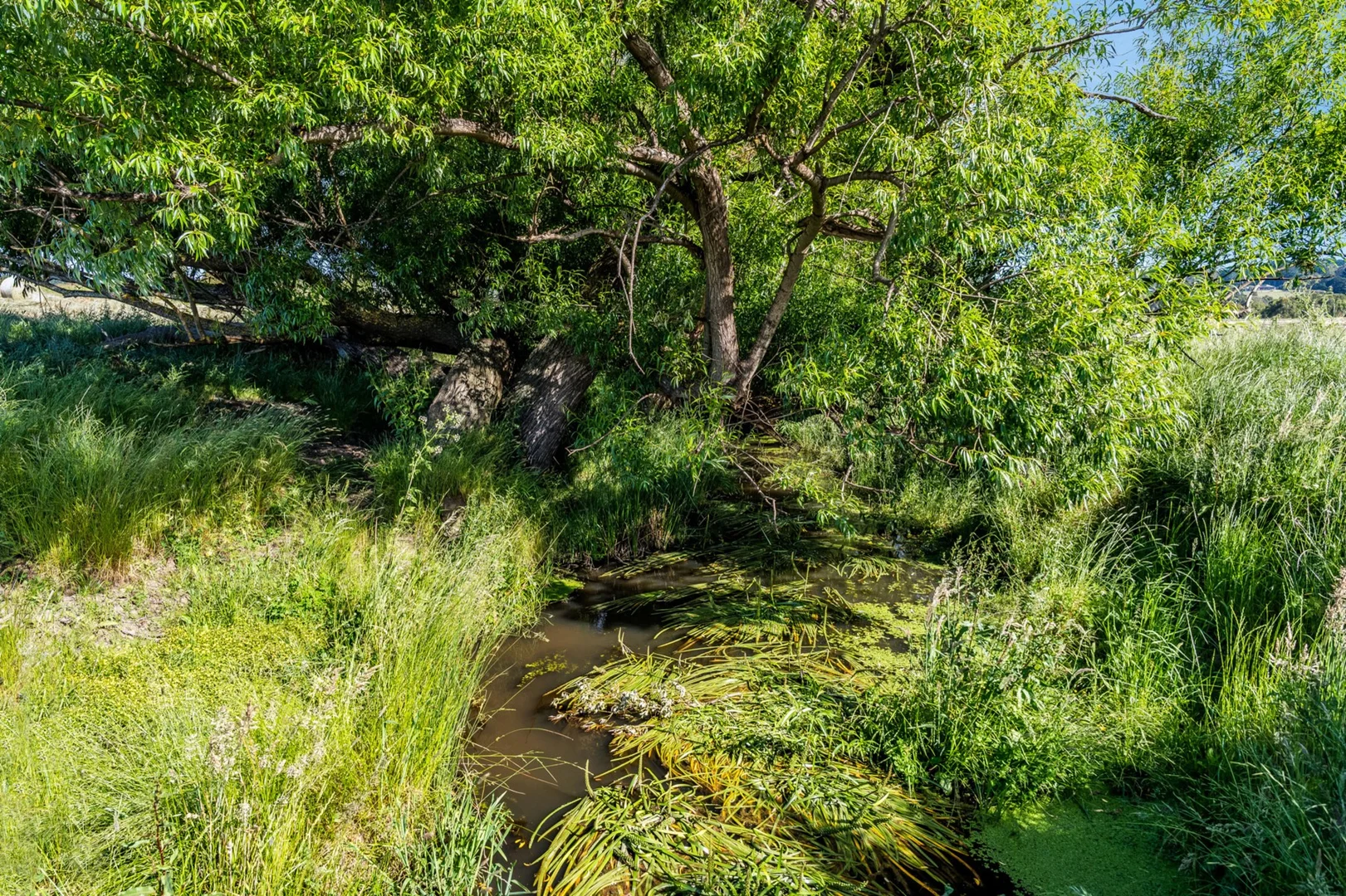 Additional image 9 of 1530 Birregurra-Forrest Road, Barwon Downs VIC 3243