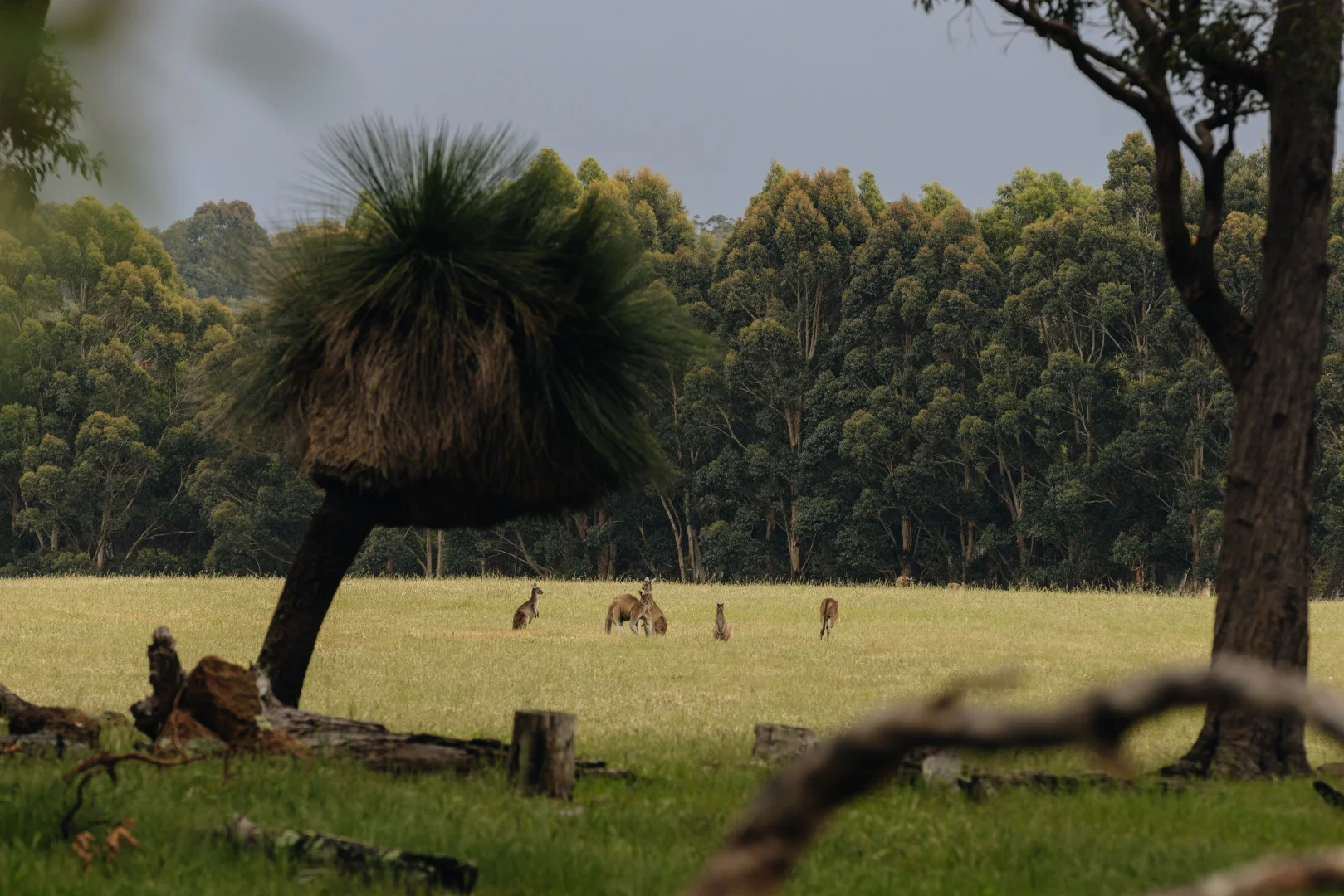 Additional image 17 of Springfield Farm, Yallingup WA 6282