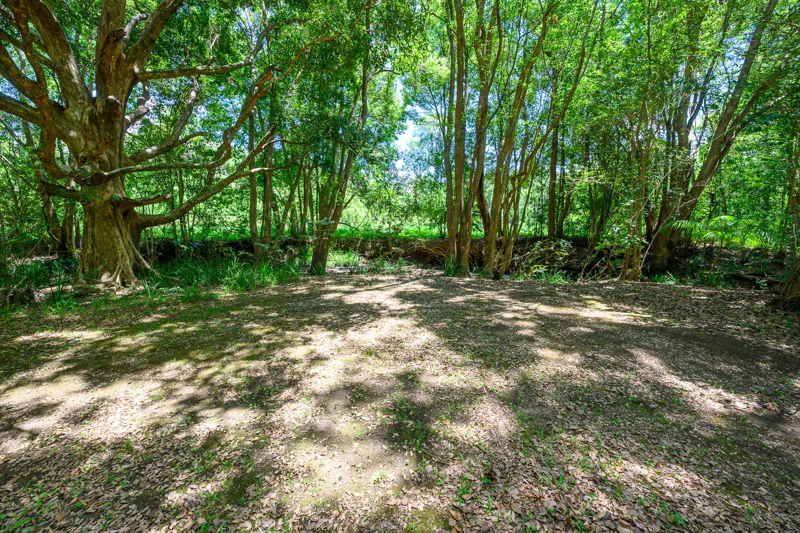 Additional image 27 of 38 Cooloon Street, Kunghur NSW 2484