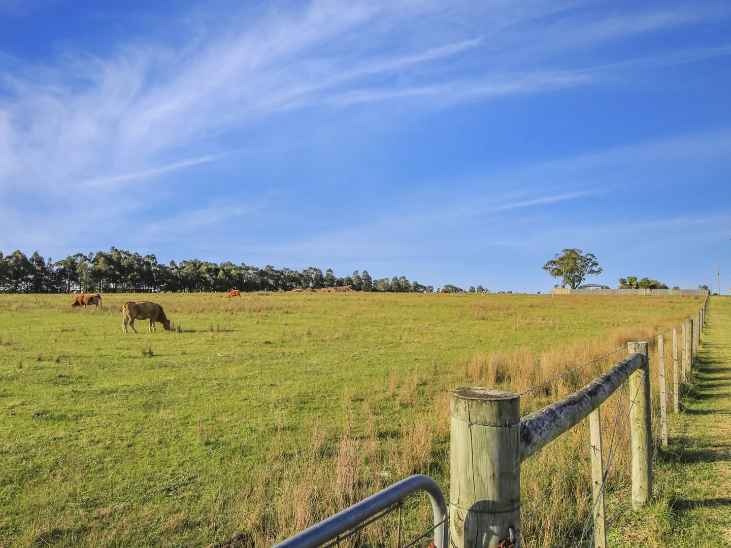 Additional image 5 of 83A Lucknow Street, East Bairnsdale VIC 3875