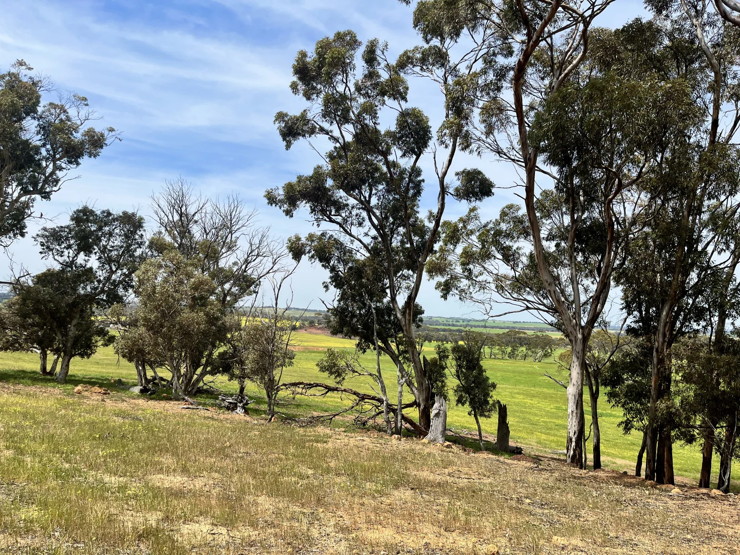 Additional image 27 of 547 Bunmulling Road, Popanyinning WA 6309