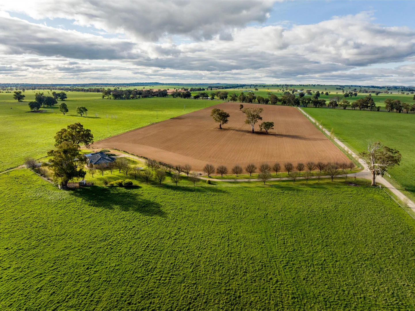 Additional image 11 of 1871 Old Narrandera Road, Euberta NSW 2650