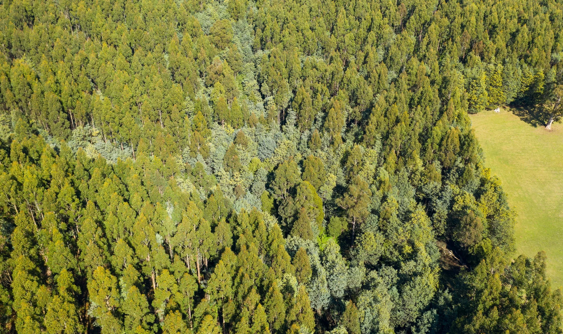 Additional image 24 of Alberton TAS 7263