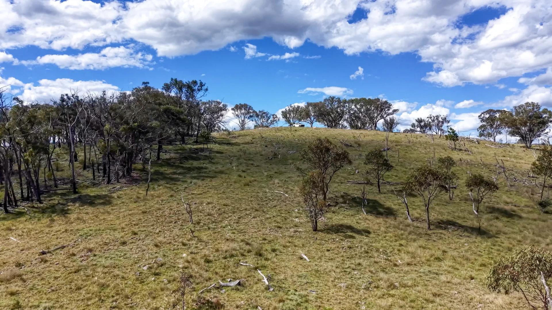 Additional image 17 of Lot 570 Tarban Road, Tenterfield NSW 2372