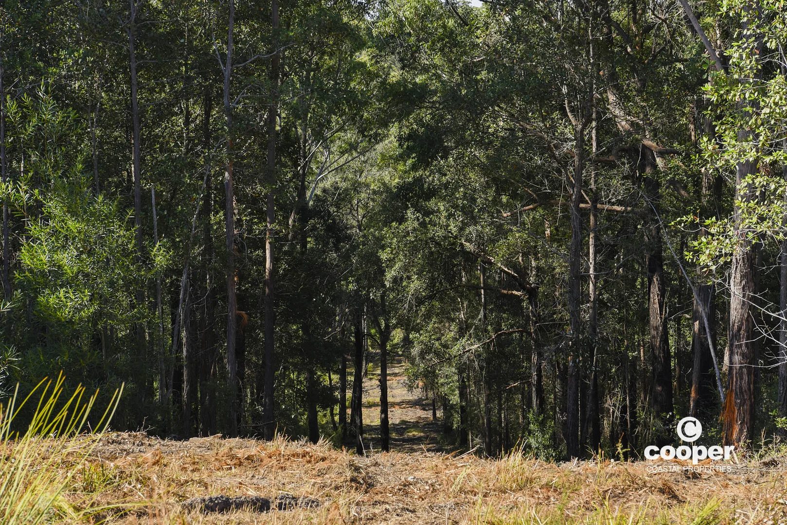 Additional image 11 of 56A Kingiman Road, Woodburn NSW 2538