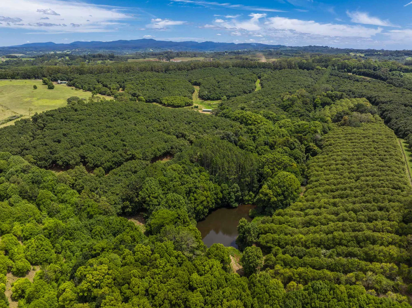 Additional image 7 of 1025 Lismore Road, Nashua NSW 2479