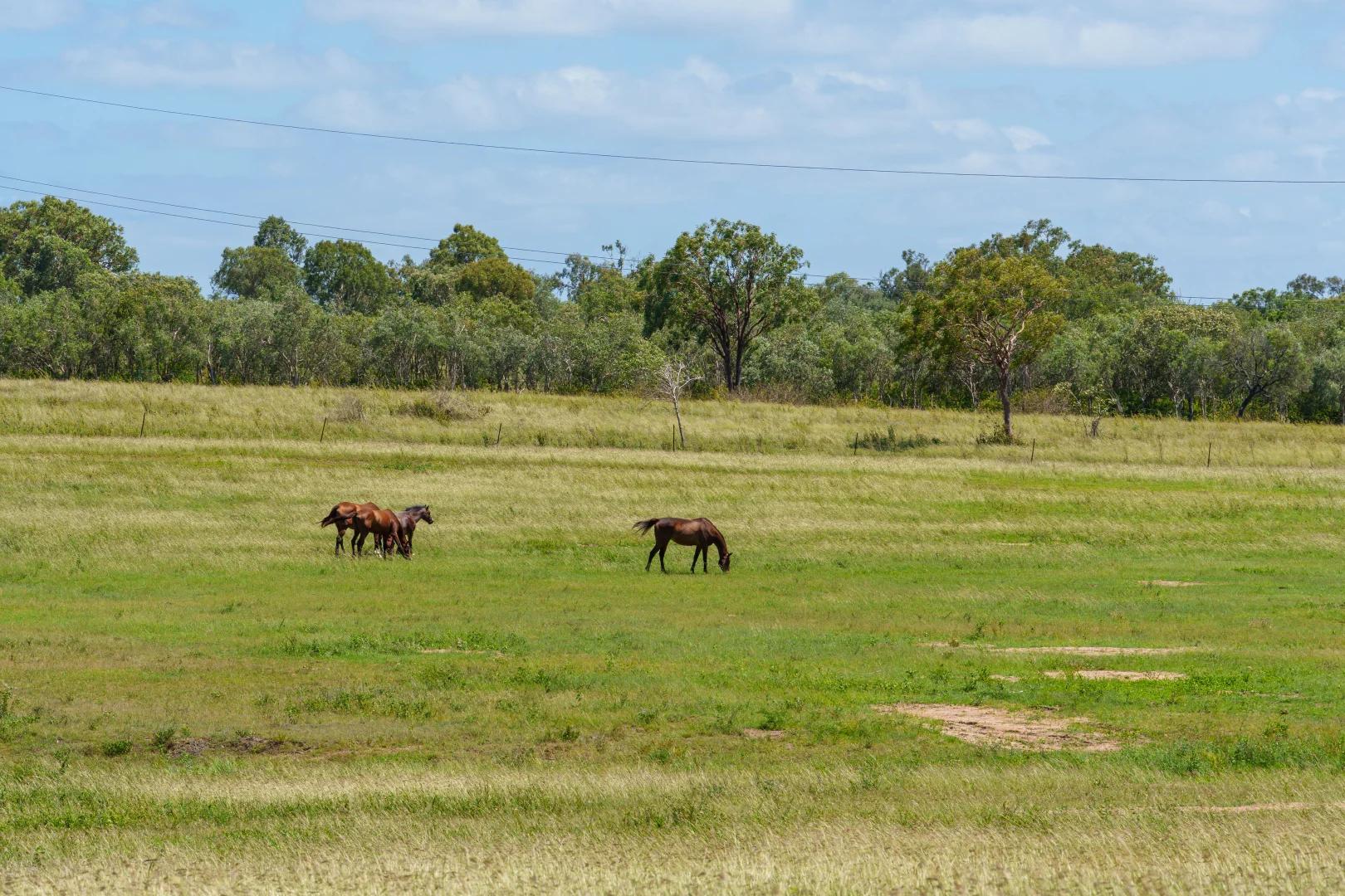 Additional image 41 of 'Allanmar Park' Goodwin Road, Gracemere QLD 4702