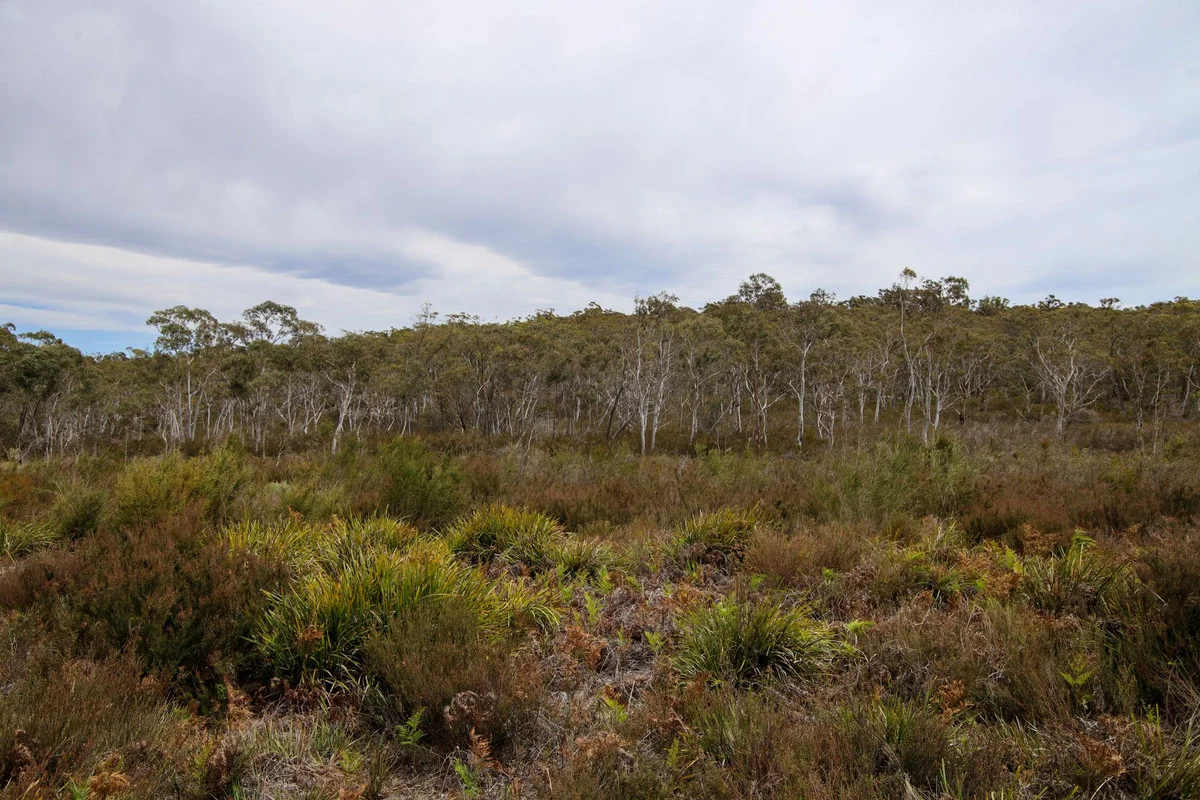 Additional image 9 of 1887 Oallen Ford Road, Oallen NSW 2622