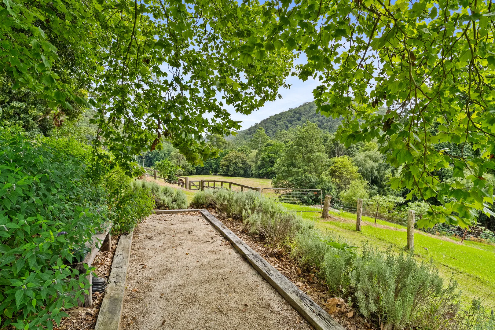 Additional image 15 of 665 Brush Creek Road, Cedar Brush Creek NSW 2259