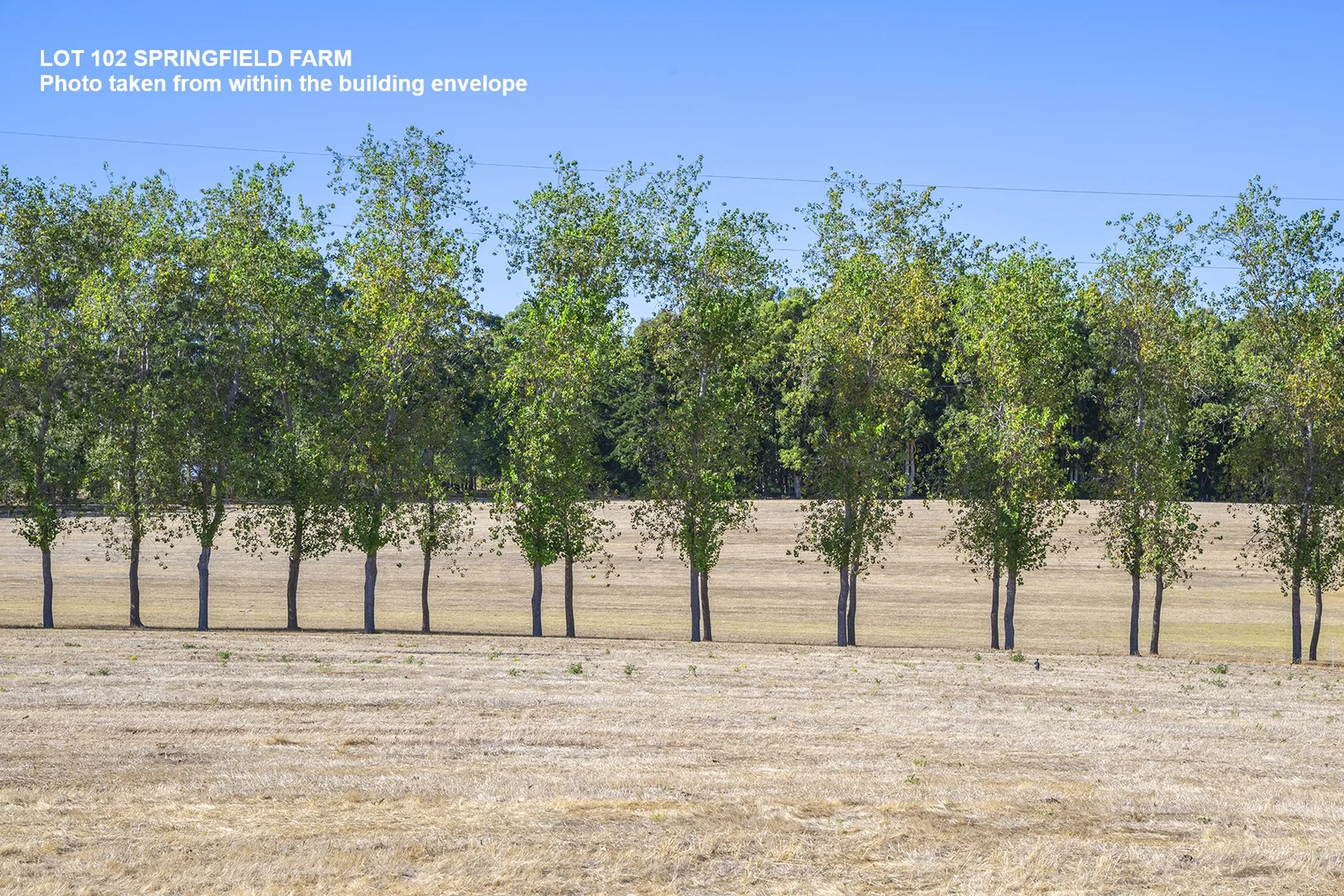 Additional image 4 of Lot 102 Springfield Farm, Yallingup WA 6282