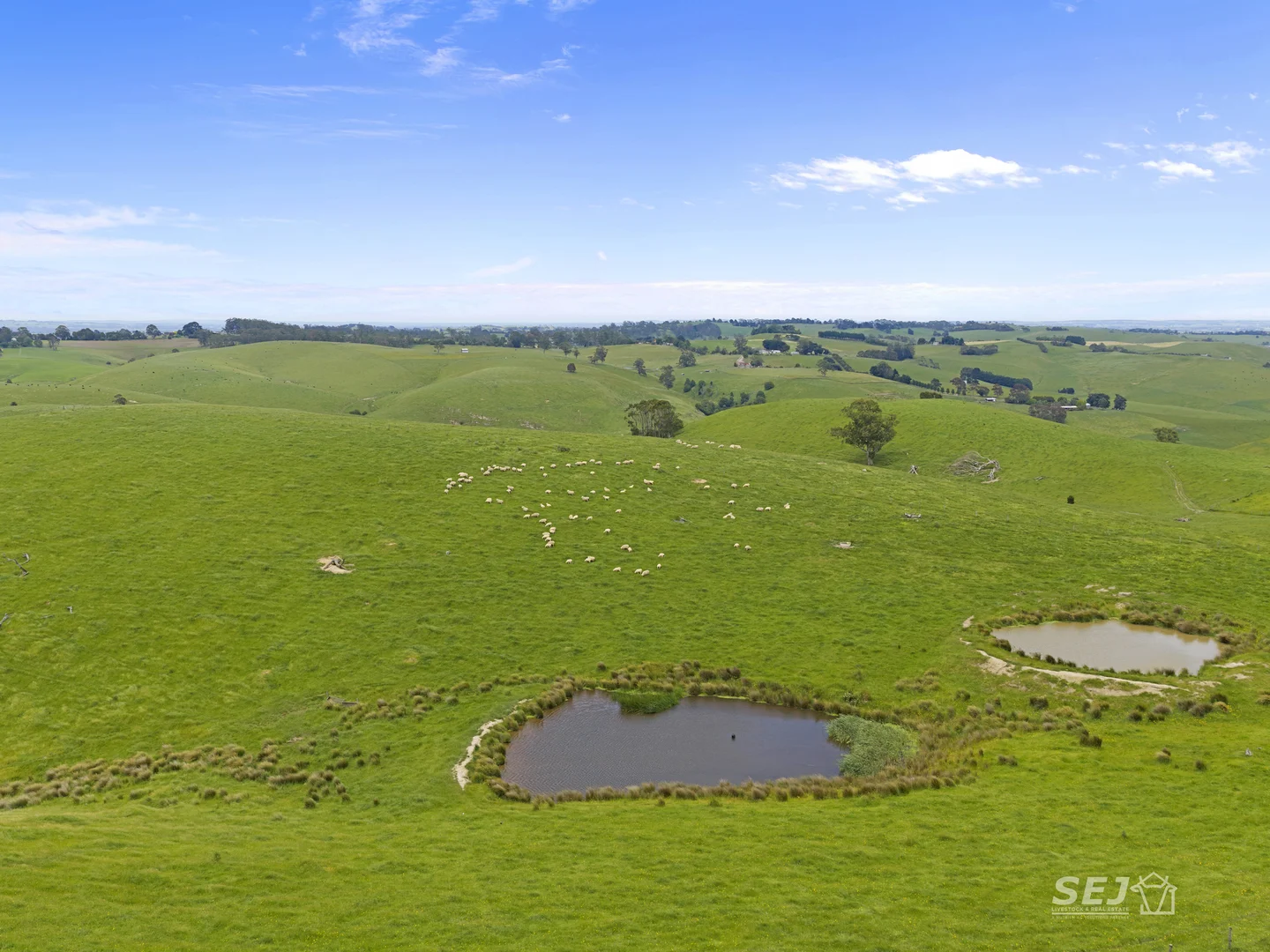 Additional image 15 of 105 Holmes Road, Mardan VIC 3953