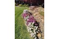 Additional image 32 of 2805 Granite Park Ln, Elk Grove, CA, 95758