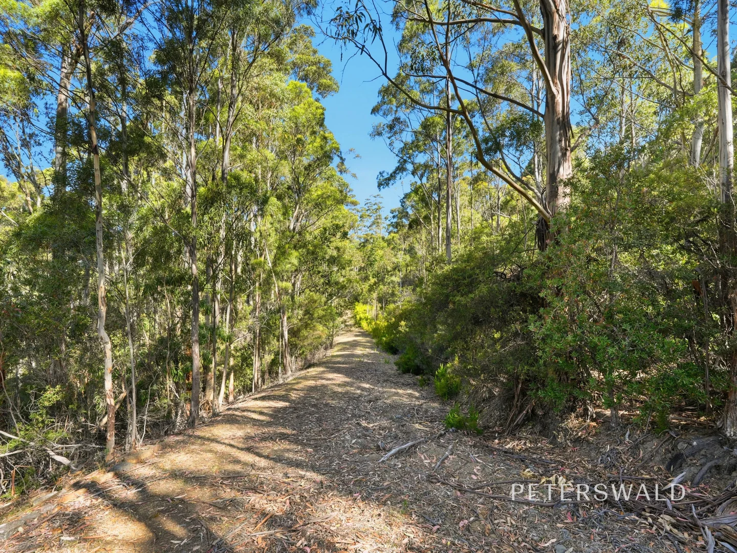 Additional image 14 of 3 Morphetts Road, Neika TAS 7054