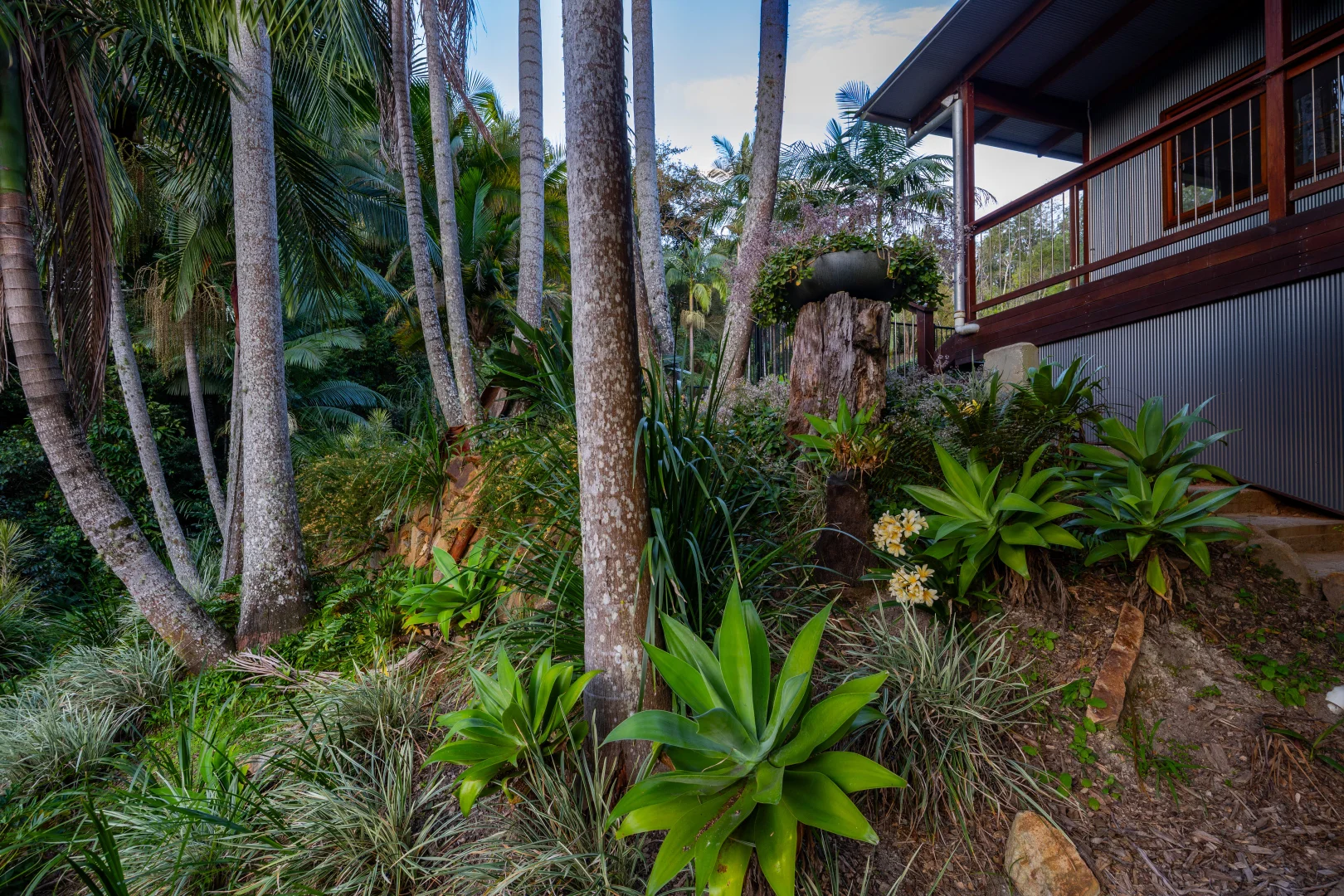 Additional image 28 of 439 Roses Road, Bellingen NSW 2454