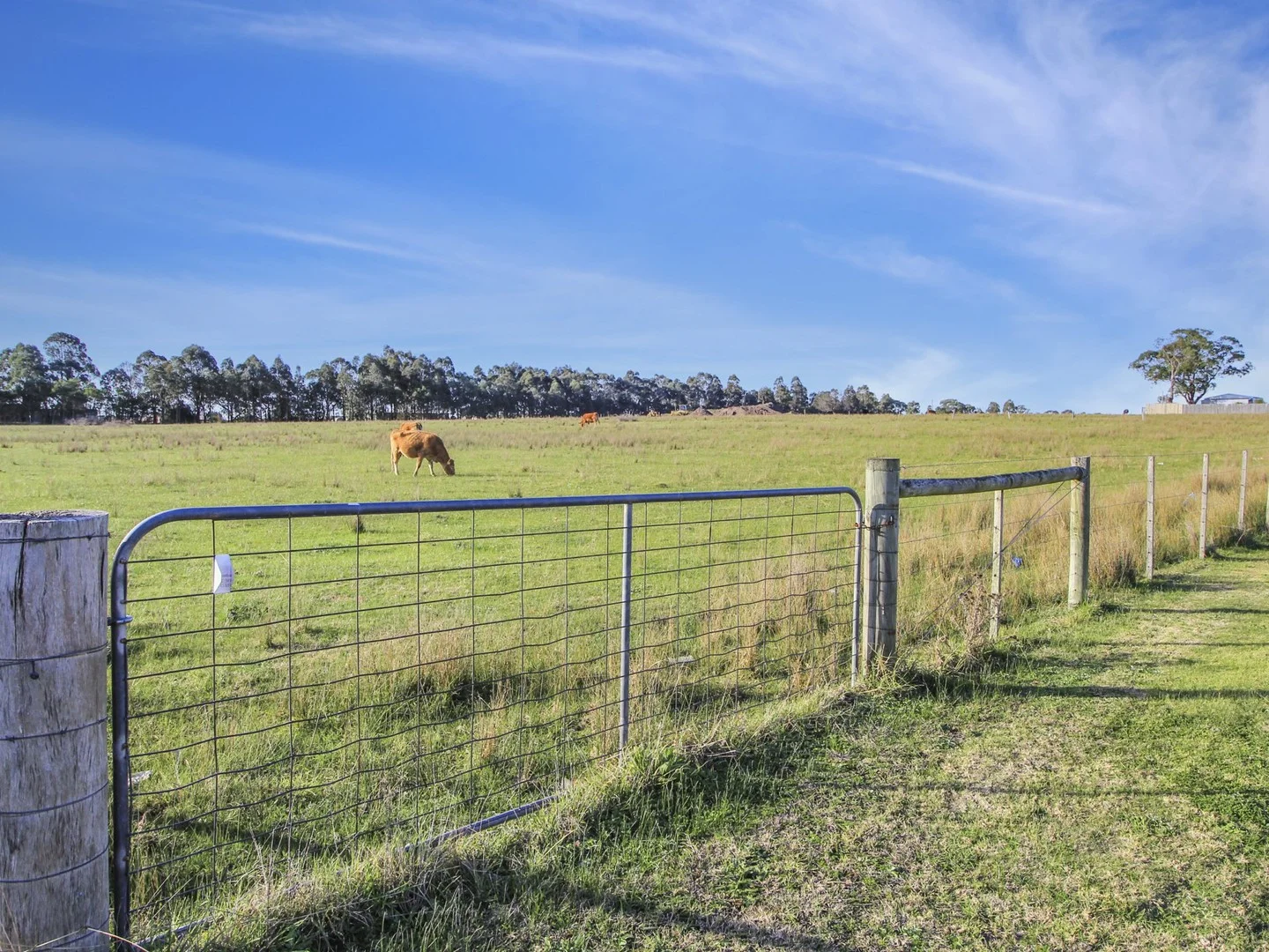Additional image 6 of 83A Lucknow Street, East Bairnsdale VIC 3875