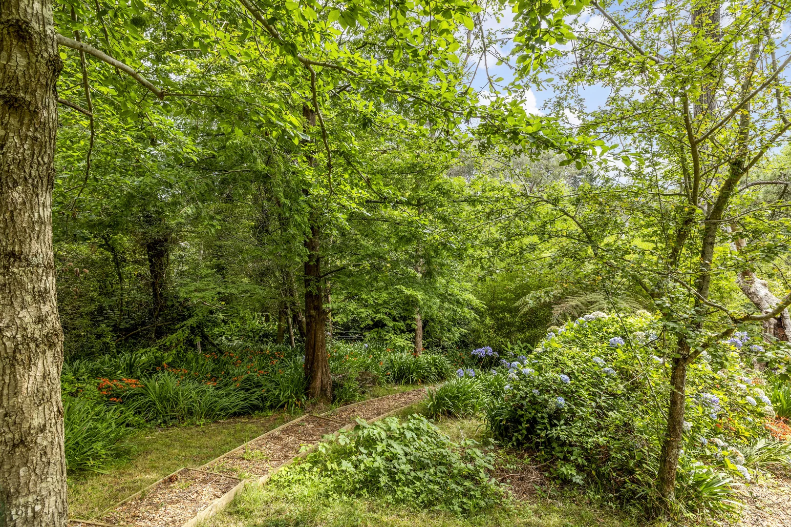 Additional image 24 of 3 Wentworth Ave, Leura NSW 2780