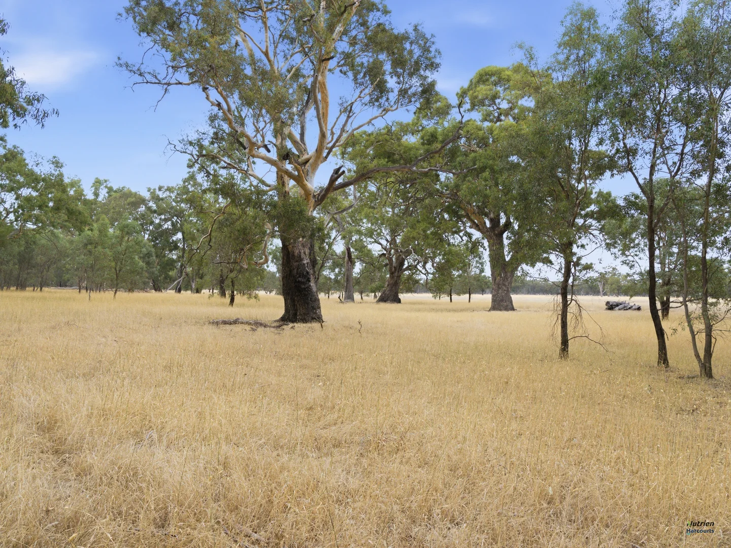 Additional image 8 of Cnr Burness Rd & Four Mile Rd, Benalla VIC 3672